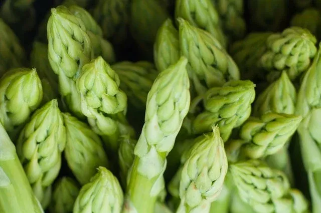 Close-up of fresh green asparagus tips
