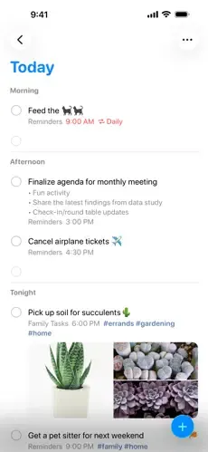A Reminders “Today” view mixing tasks under Morning, Afternoon and Tonight