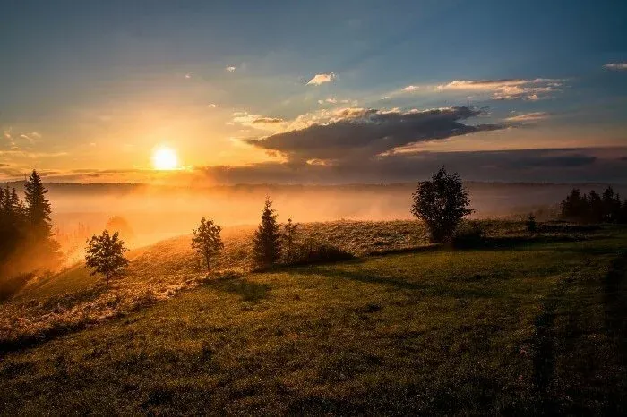 Lever de soleil sur une prairie brumeuse avec quelques sapins